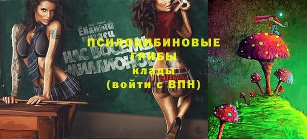 шишки Баксан