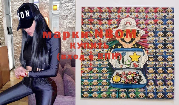 шишки Баксан