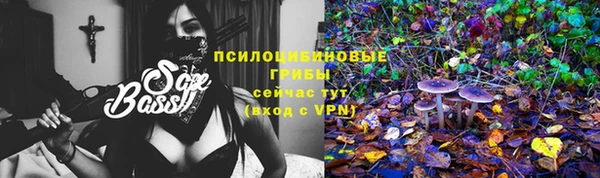 шишки Баксан