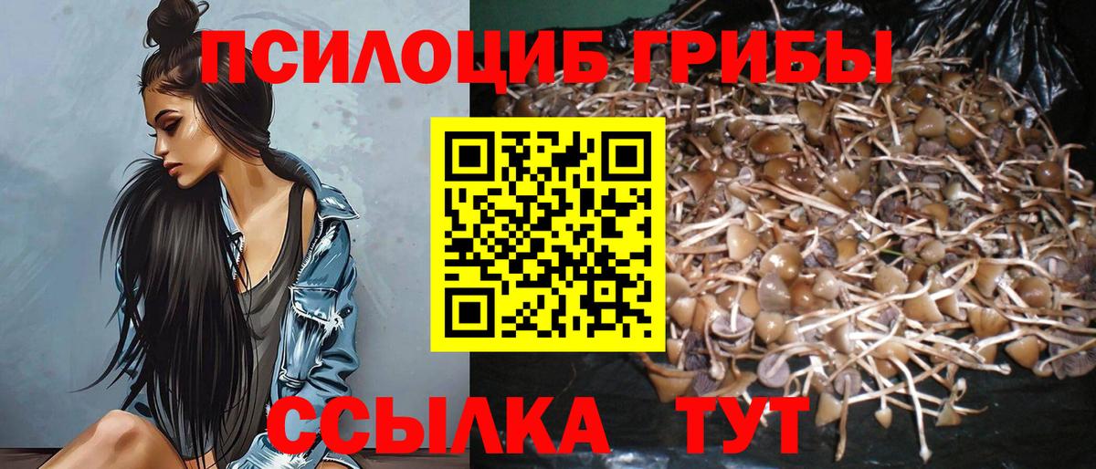 Галлюциногенные грибы Cubensis Бор