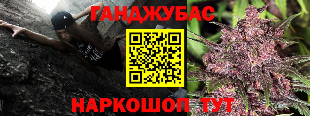 Бошки Шишки планчик Бор